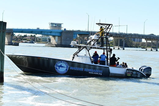 Mote Marine Lab - Cover