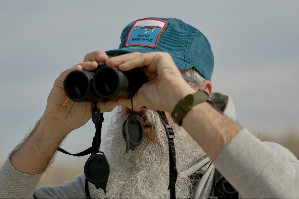Noah Field Team: Dr. Artie Kopelman - Cover