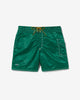 Noah - Boardshorts - Kelly Green - Swatch