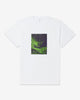 Noah - Get Back Up Tee - White - Swatch