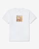 Noah - Irish Wolfhound Tee - White - Swatch